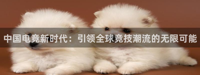 乐竞电竞：中国电竞新时代：引领全球竞技潮流的无限可能