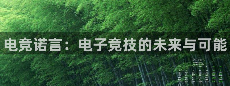 乐竞电竞锁定金额：电竞诺言：电子竞技的未来与可能
