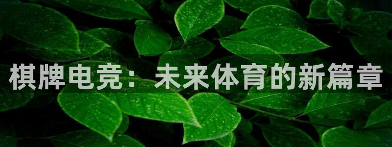 乐竞电竞平台：棋牌电竞：未来体育的新篇章