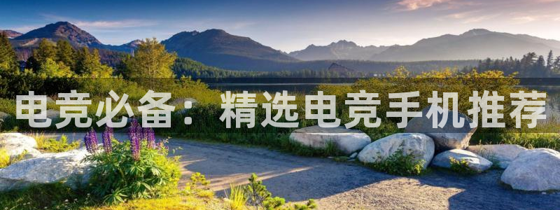乐竞电竞官网首页：电竞必备：精选电竞手机推荐