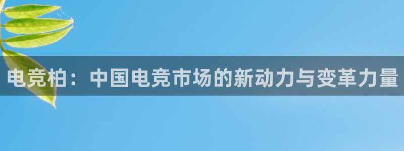 乐竞电竞学院怎么样：电竞柏：中国电竞市场的新动力与变革力量
