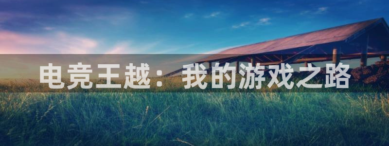 乐竞电竞app：电竞王越：我的游戏之路