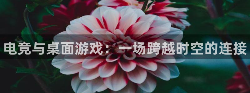 乐竞电竞app官方入口下载：电竞与桌面游戏：一场跨越时空的连接