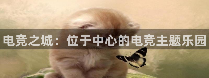 乐竞电竞锁定金额：电竞之城：位于中心的电竞主题乐园