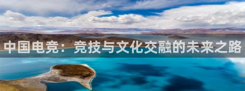 乐竞电竞学院怎么样：中国电竞：竞技与文化交融的未来之路