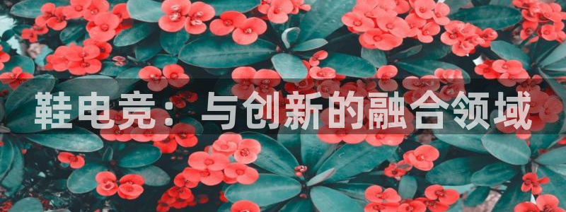 乐竞电竞实训中心收费标准：鞋电竞：与创新的融合领域